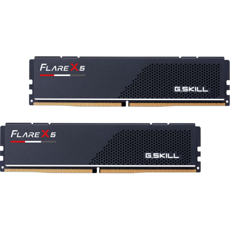Оперативная память G.SKILL FLARE X5 64Gb (2x32Gb) DDR5-6000 DIMM (F5-6000J3636F32GX2-FX5)