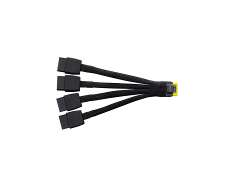 10082